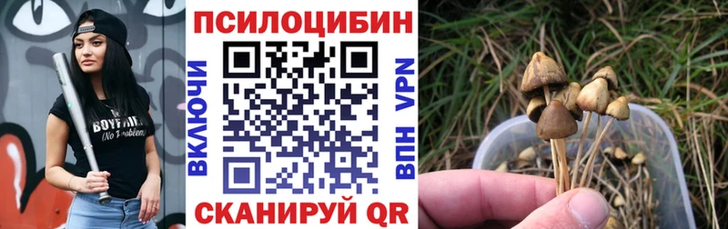 Галлюциногенные грибы мицелий  Туринск 
