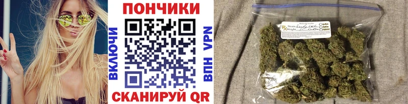 Шишки марихуана планчик  Туринск 